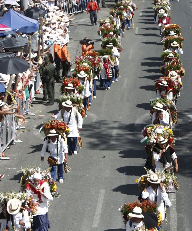 Fotos: Medellín se viste de jardín