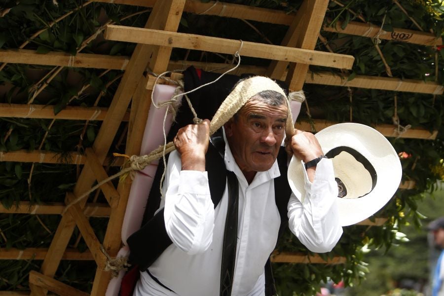 Fotos: Medellín se viste de jardín