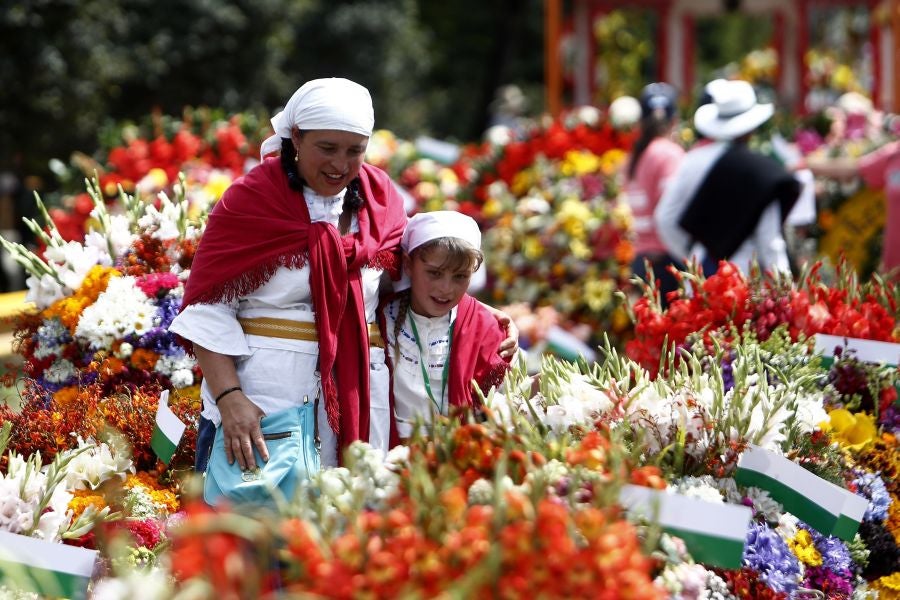 Fotos: Medellín se viste de jardín