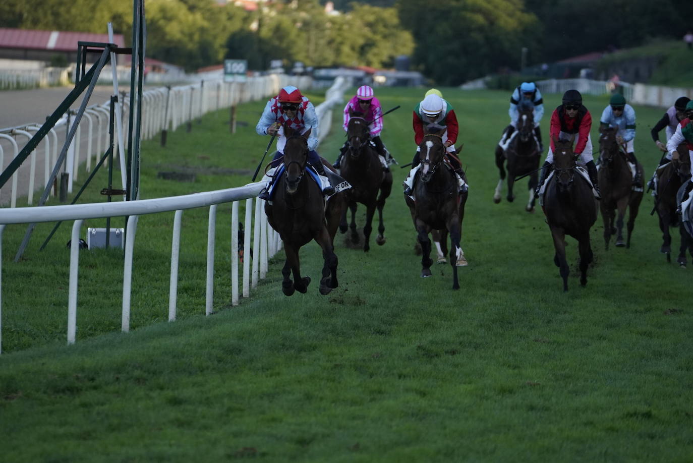 Fotos: ‘Amazing Red’ gana la Copa de Oro de San Sebastián