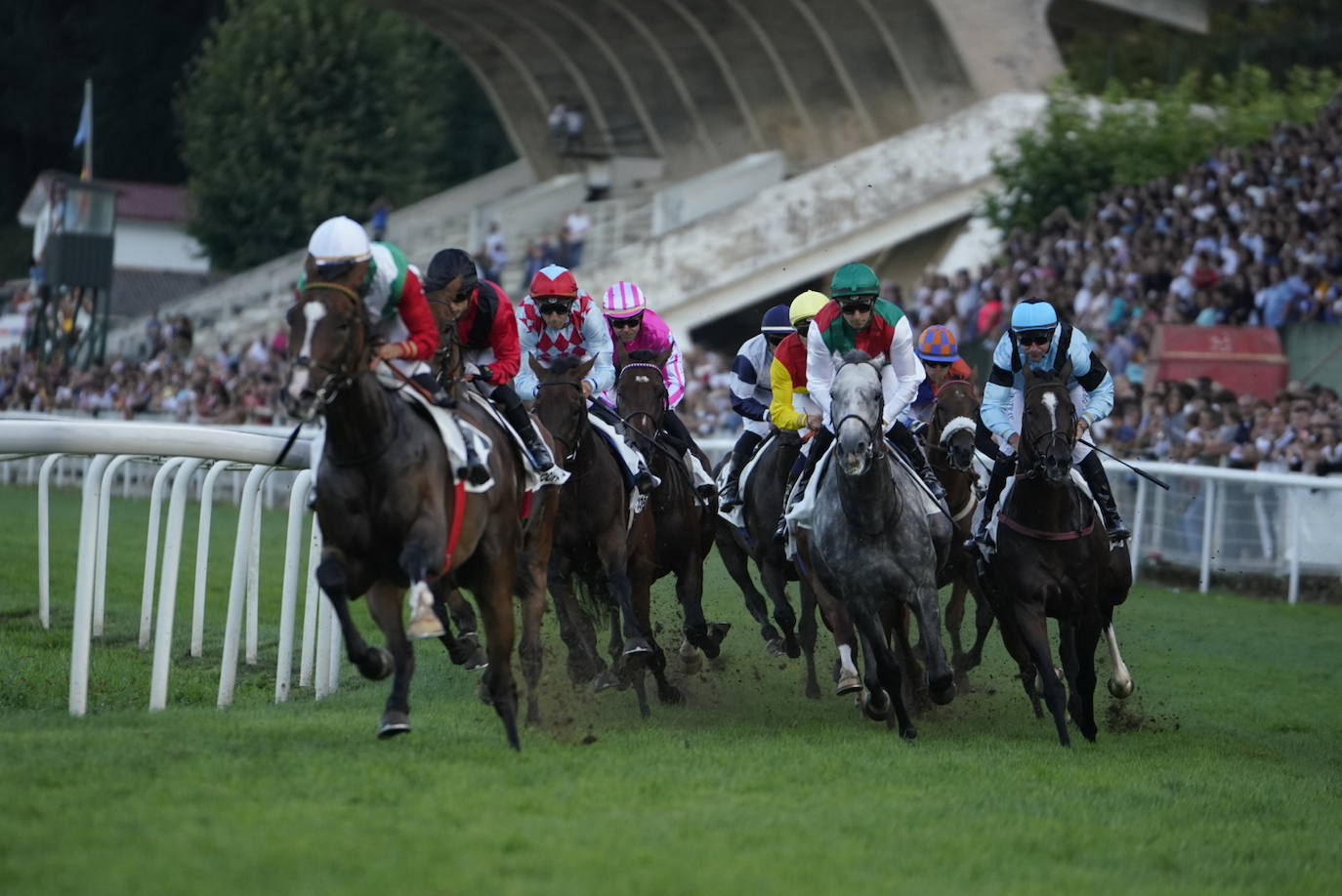 Fotos: ‘Amazing Red’ gana la Copa de Oro de San Sebastián