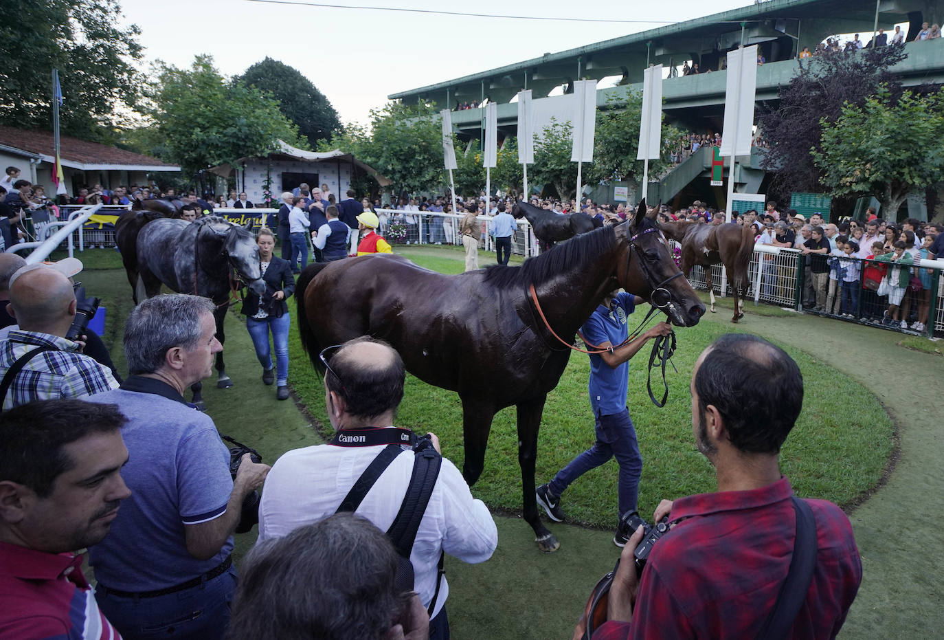 Fotos: ‘Amazing Red’ gana la Copa de Oro de San Sebastián