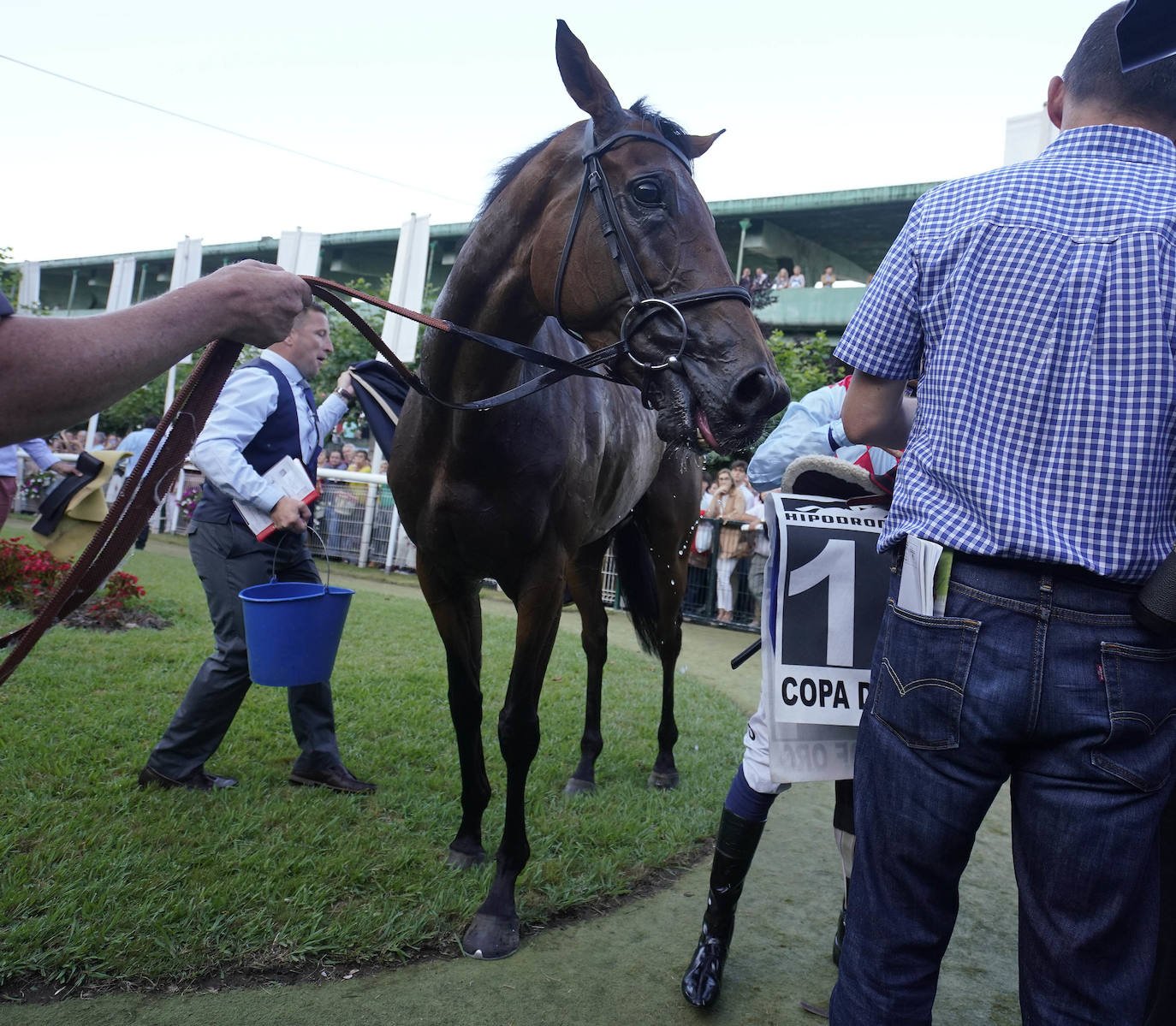 Fotos: ‘Amazing Red’ gana la Copa de Oro de San Sebastián