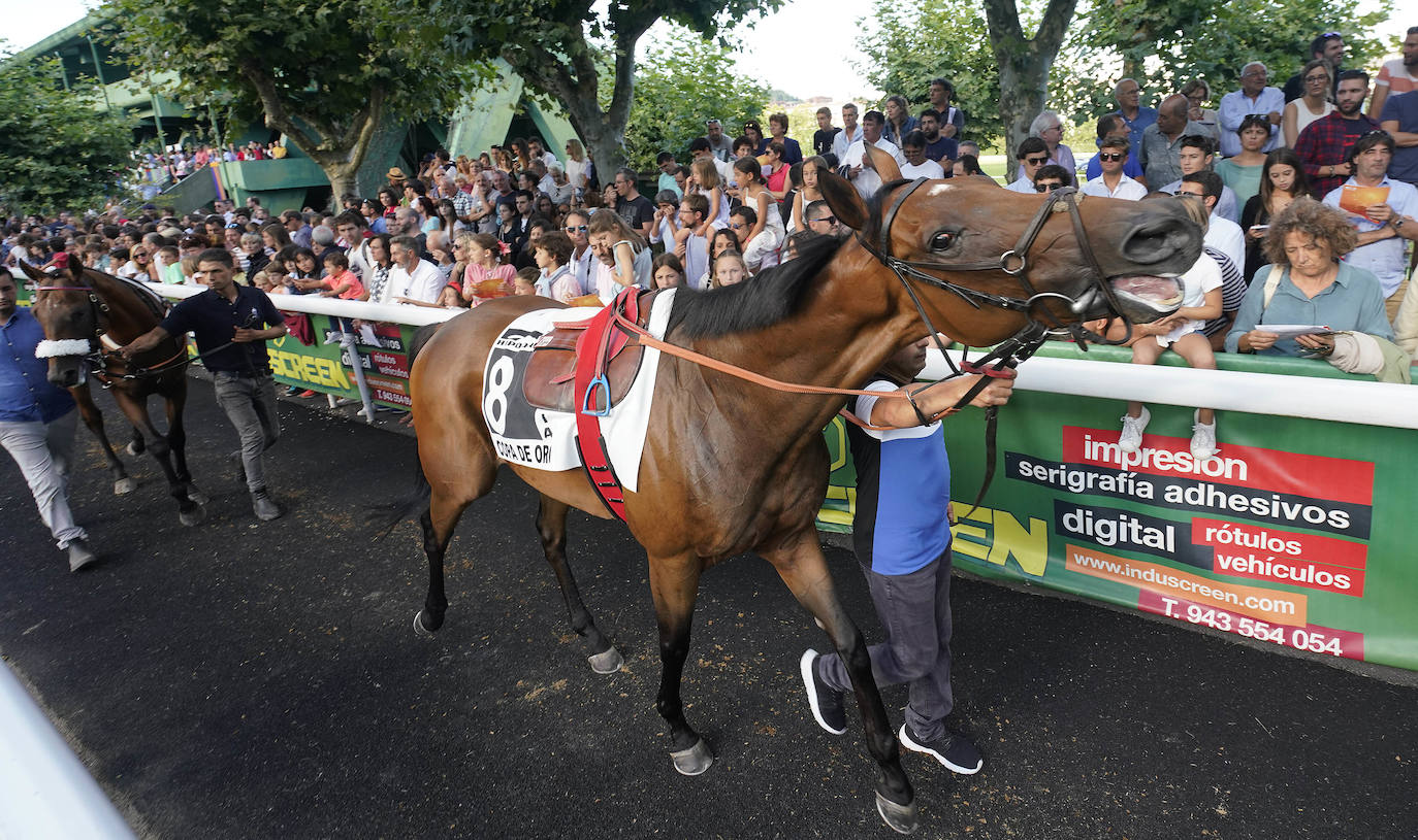 Fotos: ‘Amazing Red’ gana la Copa de Oro de San Sebastián