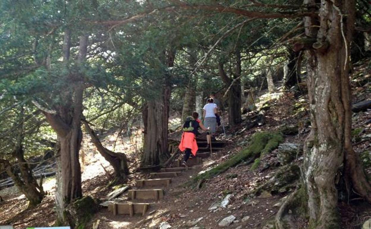 Una vista de la ruta de La Tejeda de Tosande