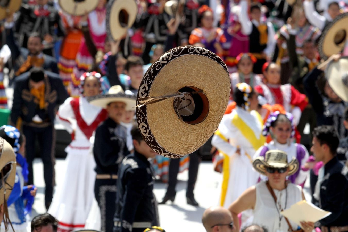 Fotos: Mariachis de récord