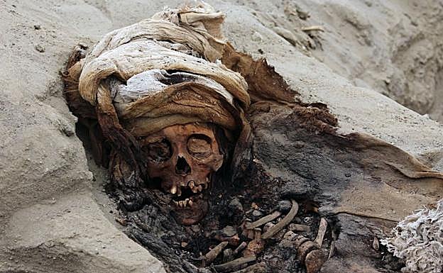 Imagen principal - Detalles de los restos encontrados. 