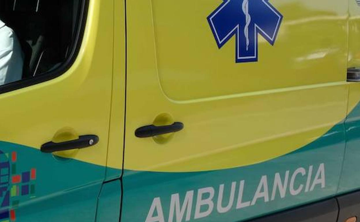 Detenida por azuzar a un perro contra un técnico sanitario en San Sebastián