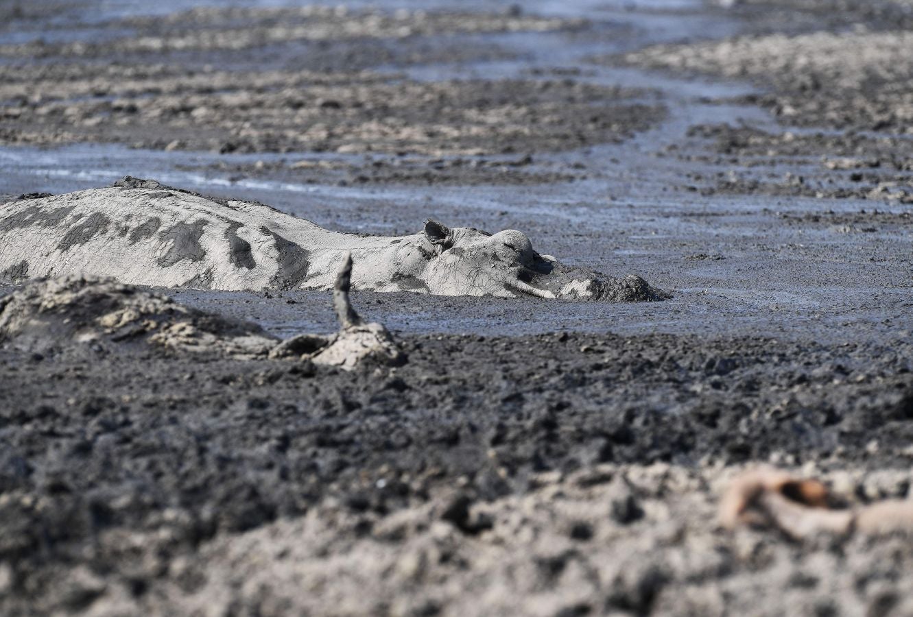 Fotos: De lago a barrizal