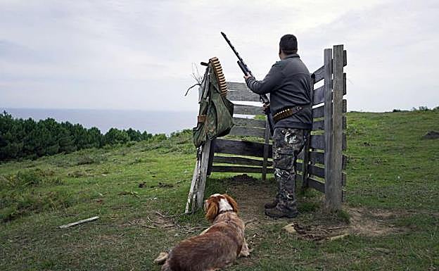 Un cazador aguarda en su puesto en un monte de Hondarribia.