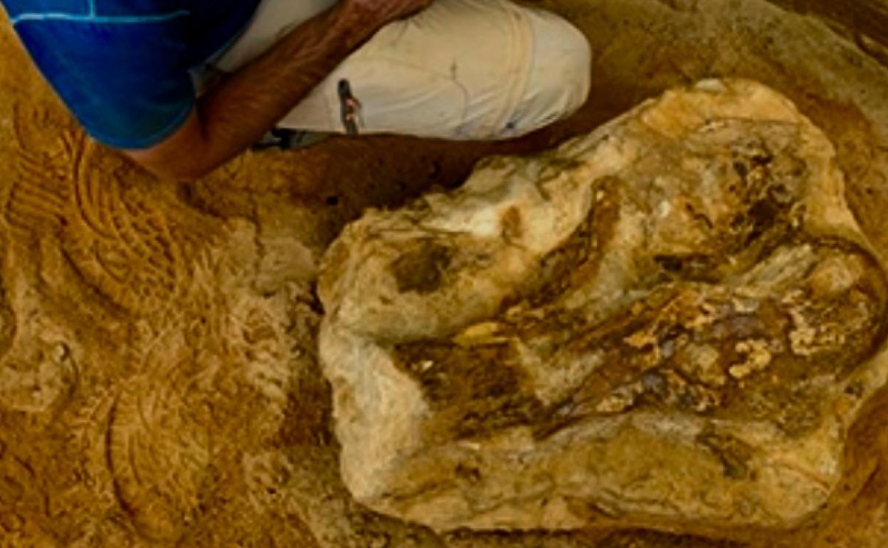 Un investigador con uno de los especímenes encontrados. 