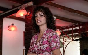 &#039;Wasp network&#039; (La red avispa&#039;)