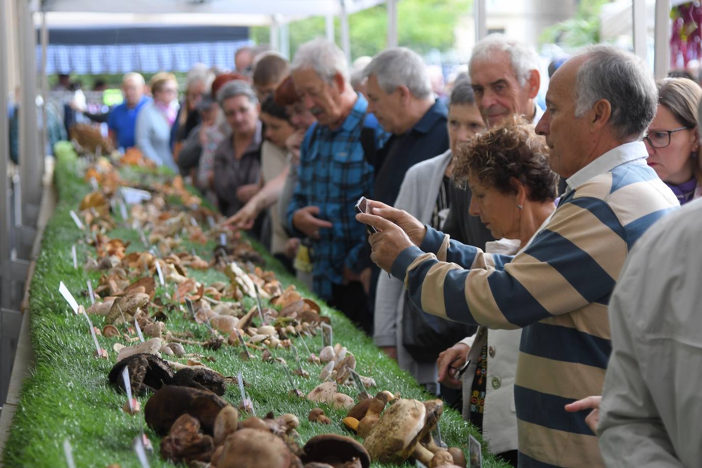 Ordizia celebra este miércoles la feria de las ferias de Gipuzkoa