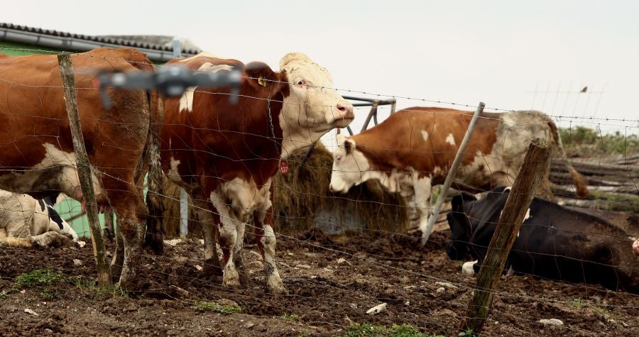 Fotos: El Flysch a vista de dron