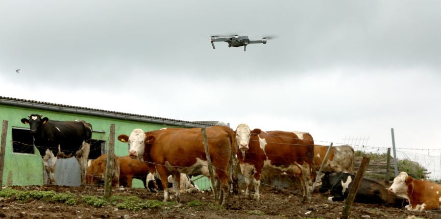 Fotos: El Flysch a vista de dron