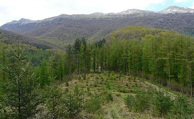 Vista del parque natural de Aizkorri-Aratz. 