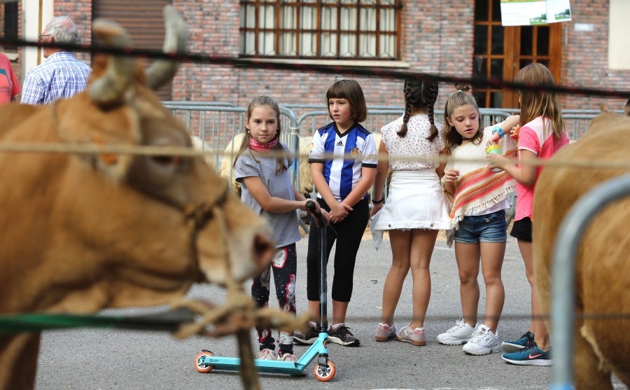 Fotos: Julen Arburua se lleva la txapela en Idiazabal