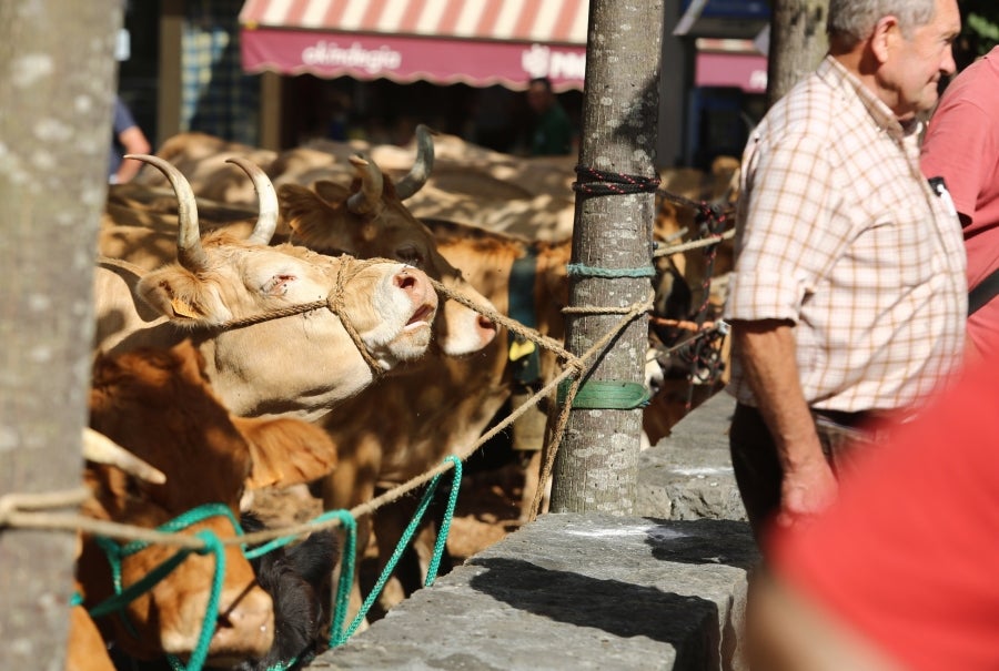 Fotos: Julen Arburua se lleva la txapela en Idiazabal
