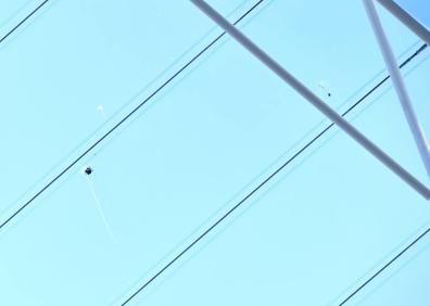 Imagen secundaria 1 - Heces y picotazos de gaviotas en el ETFE de Anoeta