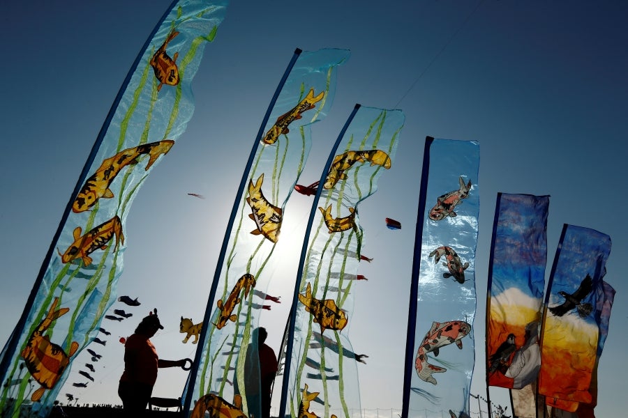 Fotos: Vuelo de las cometas