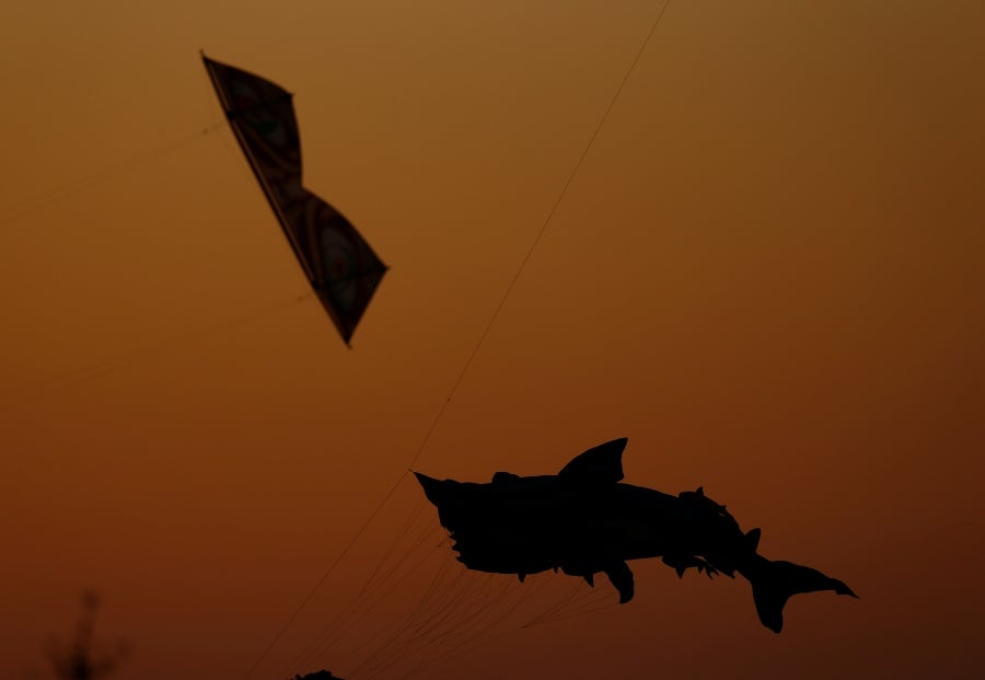 Fotos: Vuelo de las cometas