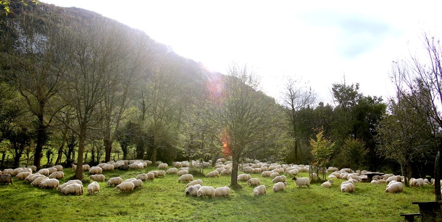 Fotos: «En Aralar se está mucho mejor»
