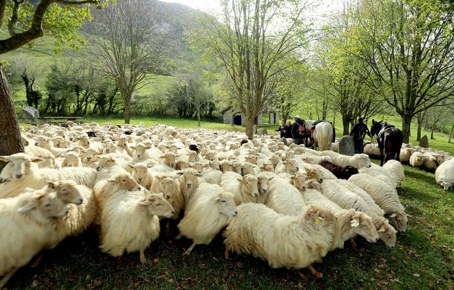 Fotos: «En Aralar se está mucho mejor»