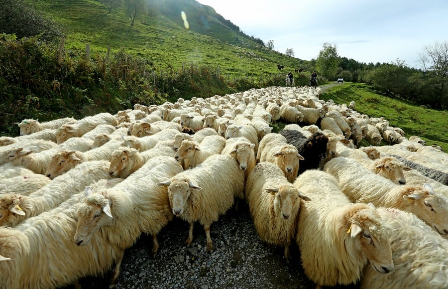 Fotos: «En Aralar se está mucho mejor»