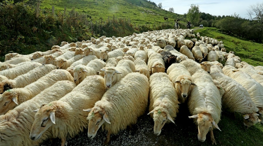 Fotos: «En Aralar se está mucho mejor»
