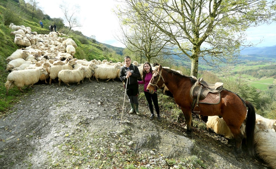 Fotos: «En Aralar se está mucho mejor»