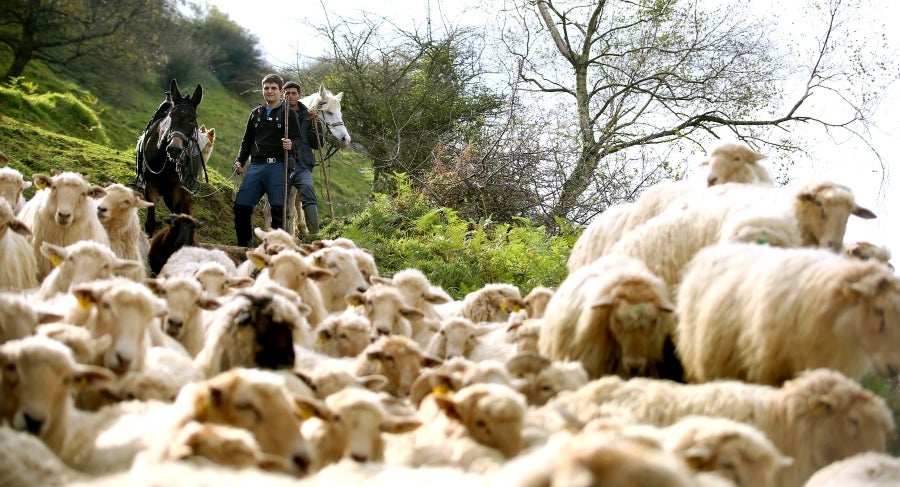 Fotos: «En Aralar se está mucho mejor»