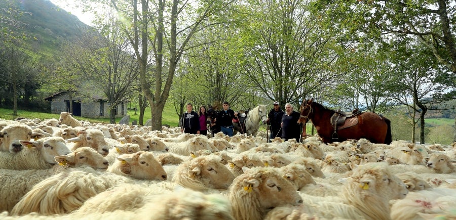 Fotos: «En Aralar se está mucho mejor»