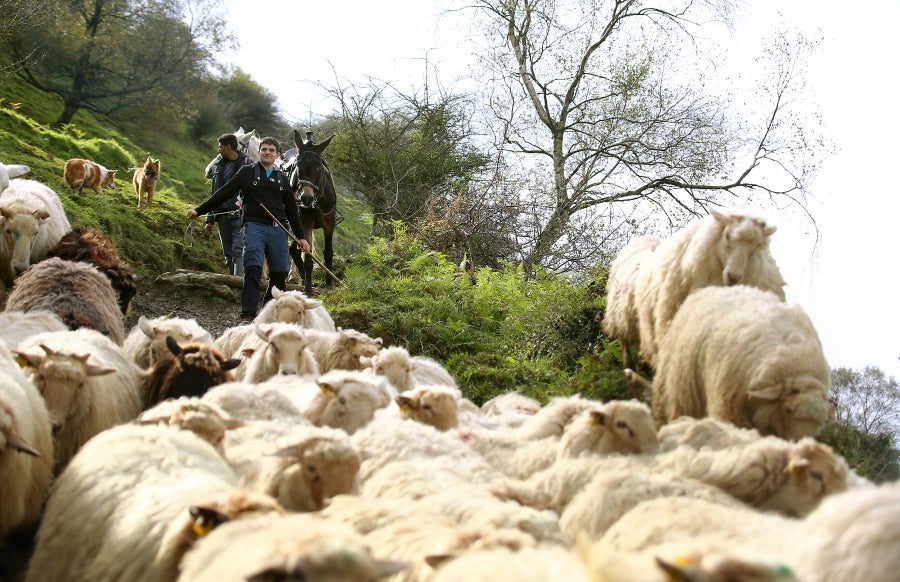 Fotos: «En Aralar se está mucho mejor»