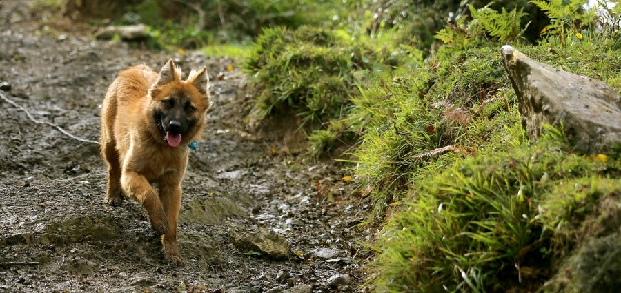 Fotos: «En Aralar se está mucho mejor»