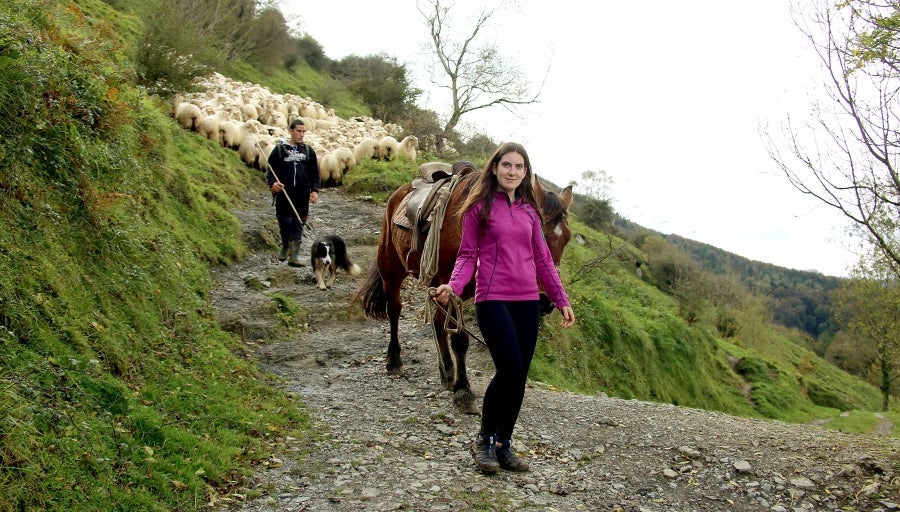 Fotos: «En Aralar se está mucho mejor»