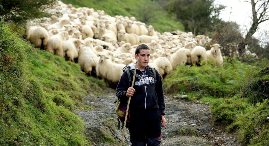 Fotos: «En Aralar se está mucho mejor»