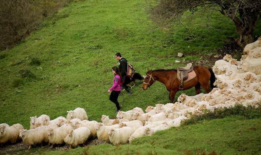 Fotos: «En Aralar se está mucho mejor»