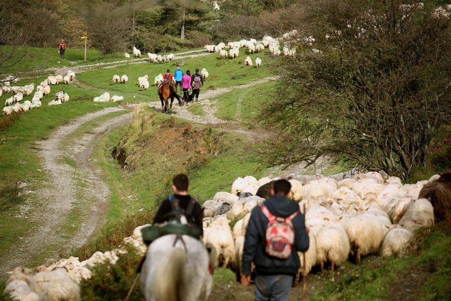 Fotos: «En Aralar se está mucho mejor»