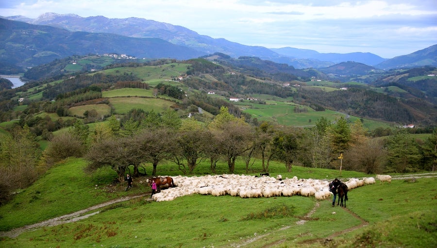 Fotos: «En Aralar se está mucho mejor»