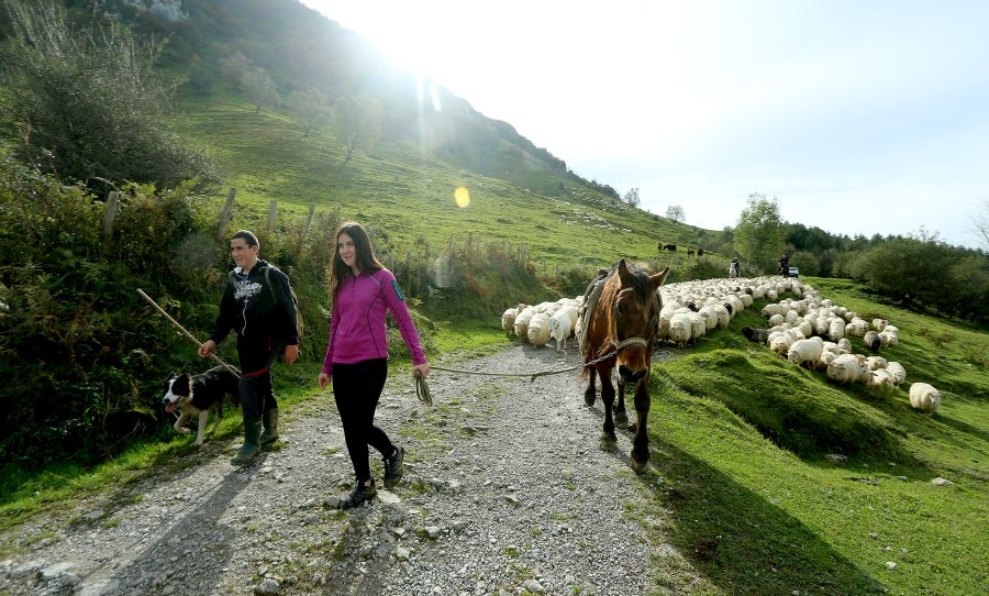 Fotos: «En Aralar se está mucho mejor»