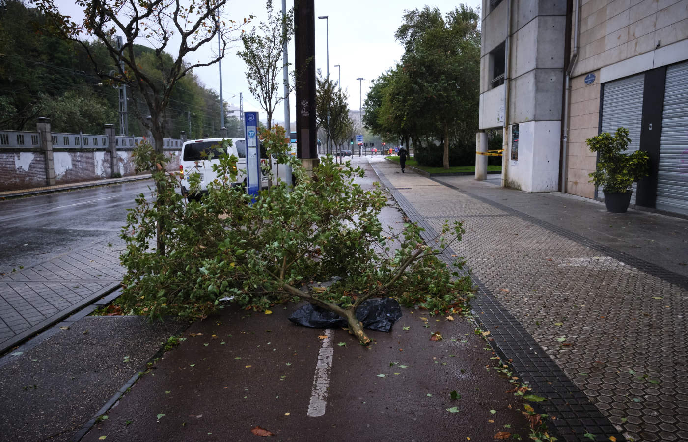 Fotos: El temporal de viento y olas deja numerosas incidencias en Gipuzkoa