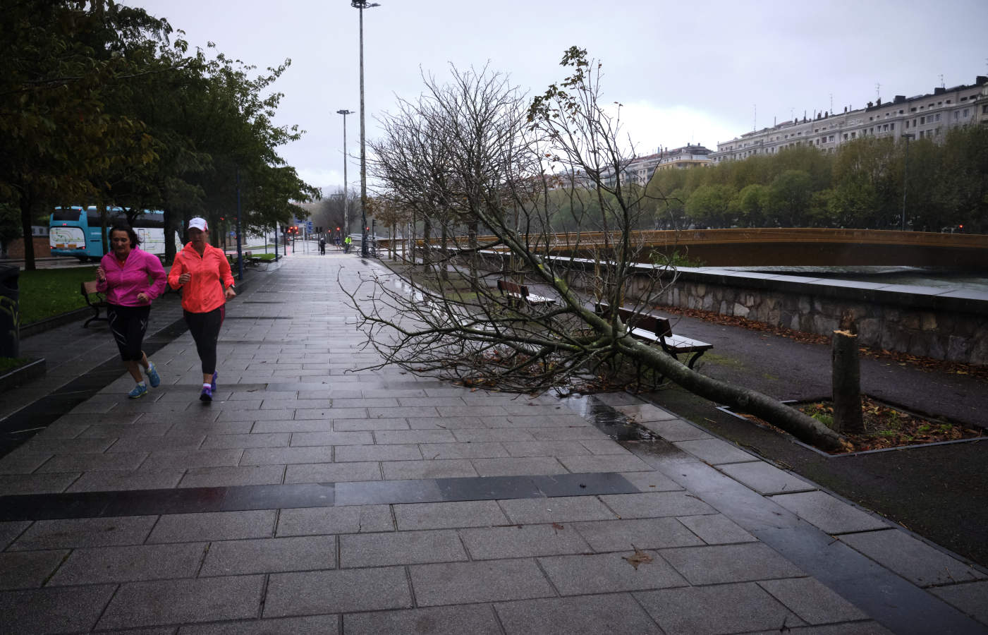 Fotos: El temporal de viento y olas deja numerosas incidencias en Gipuzkoa