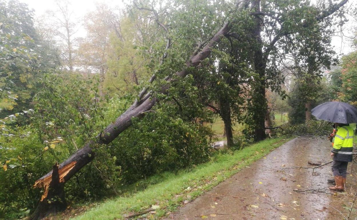 El temporal de viento y olas dejó ayer numerosas incidencias en Gipuzkoa.