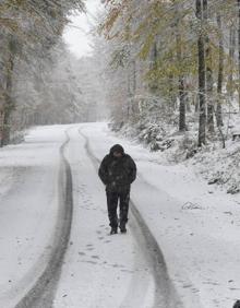 Imagen secundaria 2 - La previsión de nieve se ha cumplido. 