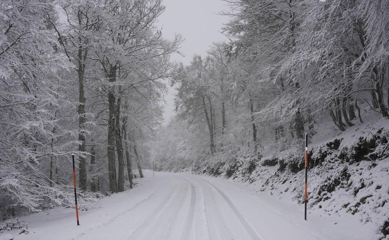 Aralar se tiñe de blanco con varios centímetros de nieve
