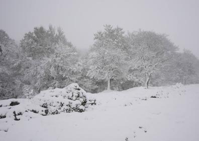 Imagen secundaria 1 - La previsión de nieve se ha cumplido. 