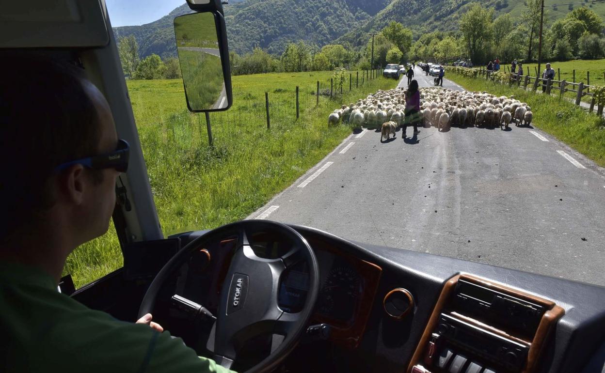 Landarlan apoya el plan para la organización de los pastos de Aralar