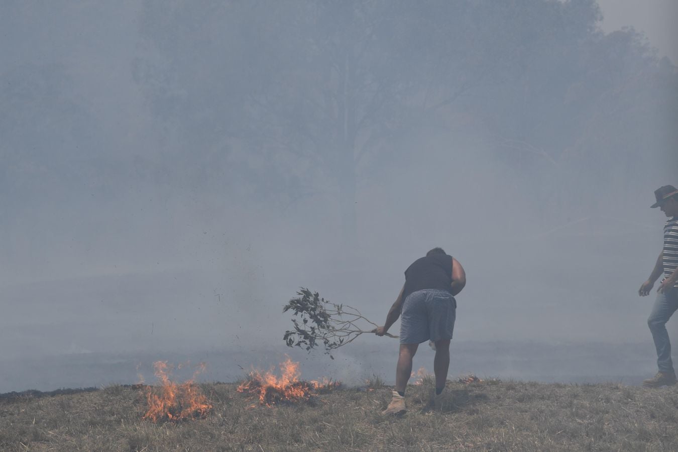 Fotos: Australia, devorada por las llamas