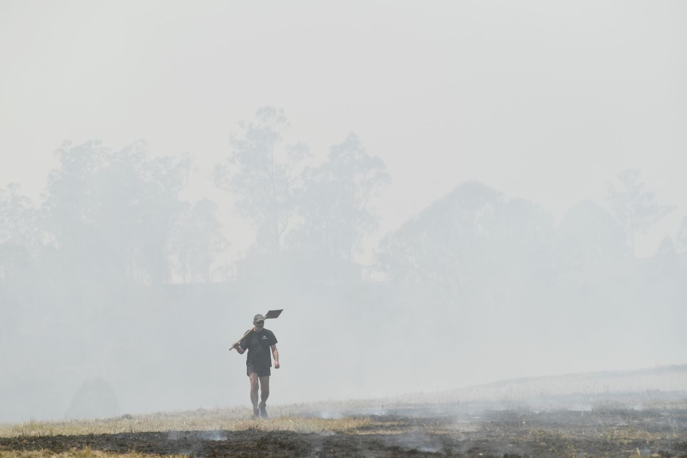 Fotos: Australia, devorada por las llamas