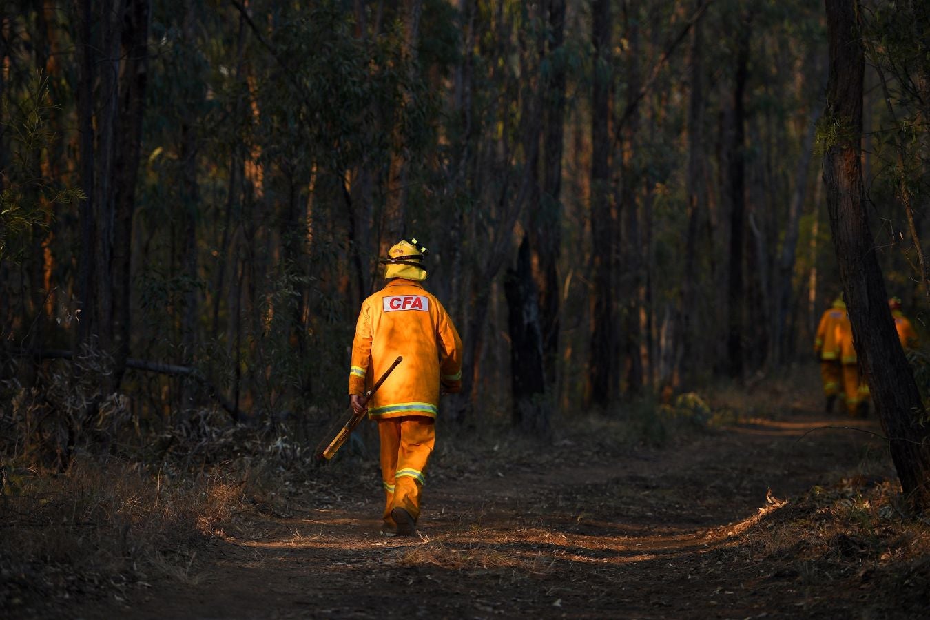 Fotos: Australia, devorada por las llamas